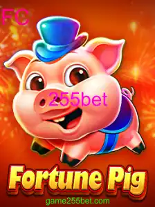 FortunePig